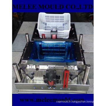 Moule en plastique de fournisseur de moule de moule de moule de moulage par injection